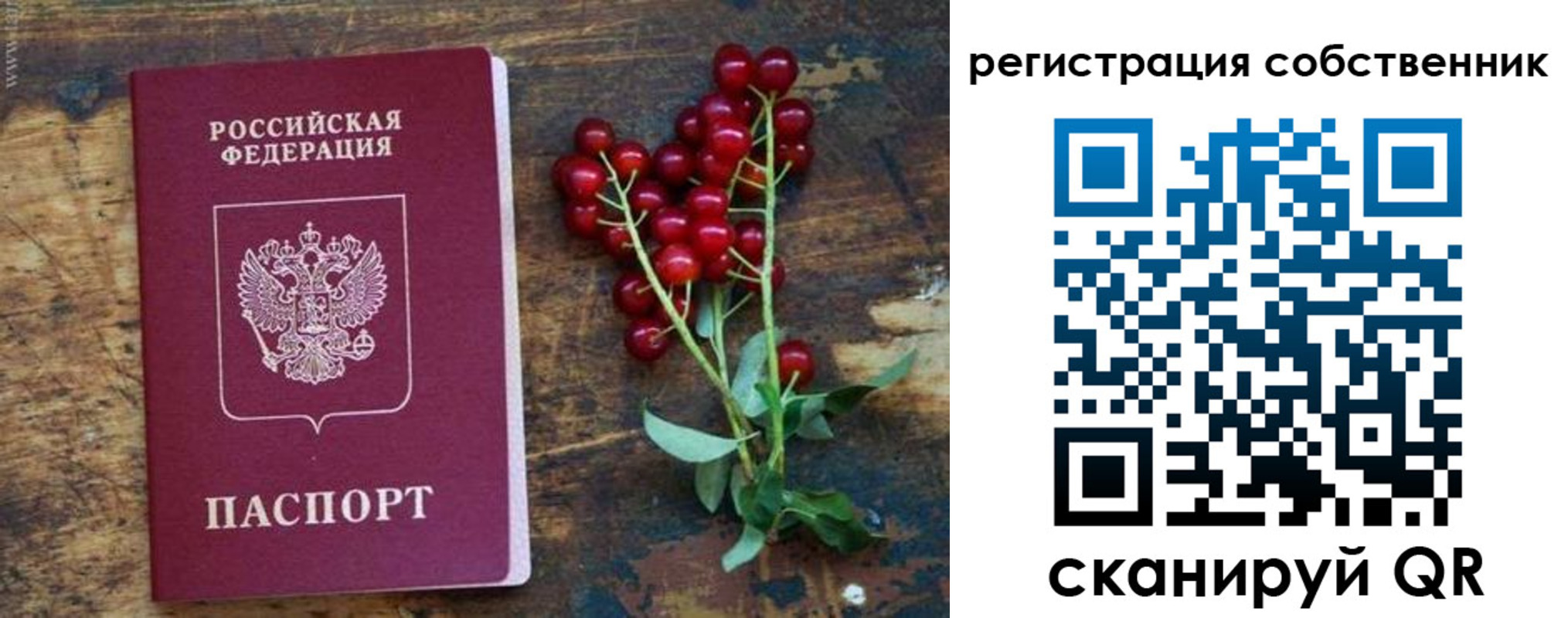 регистрация для дет. сада в Ялте